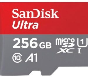 Sandisk